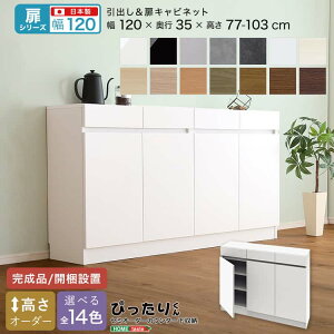 yV[YzZ~I[_[JE^[[҂肭 Lrlbg 120cm×s35cm