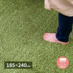 ���A���Ő����̂��炩���O �V�[���@ 185×240cm