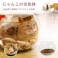 ペットベッド 猫 金魚鉢 ベッド 透明 360度 鑑賞 SNS映え 人気 話題 ペット用品 猫グッズ ふわふわ マッ…