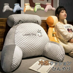 w NbV  ACXVN ⊴ ACXVN 2in1 @\ pNbV ۂ ACXVNNbV lԍHw ֎q zcNbV zc xbh