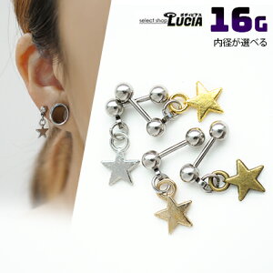 {P2{ 16G sAX {fBsAX h X^[ `[  Xg[go[x AM[Ή 316L i XeX sAX