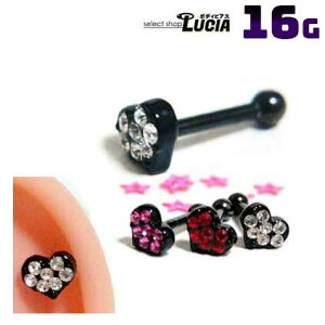 {P2{ 16G sAX {fBsAX Xg[go[x  LL n[g AM[Ή 316L i XeX sAX