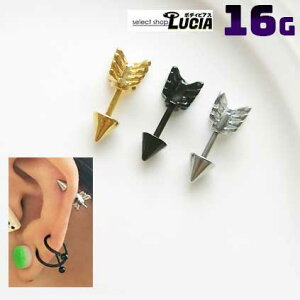 {P2{ 16G sAX {fBsAX Xg[go[x  Arrow ђ A[  AM[Ή 316L i XeX sAX