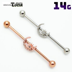 {P2{ 14G sAX {fBsAX C_XgA Xg[go[x Oo[x    AM[Ή 316L i XeX C_XgA q 