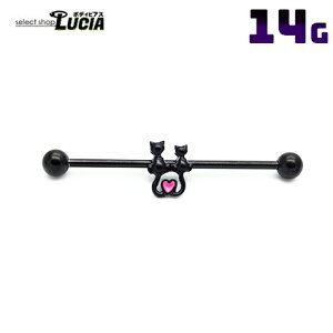 {P2{ 14G sAX {fBsAX 2Ĉ˂  Xg[go[x Oo[x L n[g C_XgA  AM[Ή 316L i