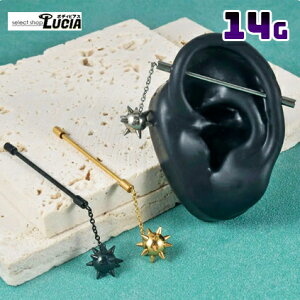 {P2{ 14G sAX {fBsAX [jOX^[ C_XgA Xg[go[x Oo[x  Y h R[ AM[Ή 316L i XeX C_Xg