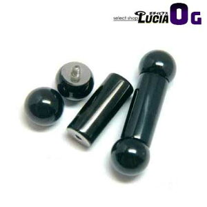 {P2{ 0G {fBsAX  ubN Xg[go[x sAX C^[i sAX s ςȂ AM[Ή 316L i XeX