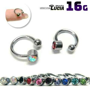 {P2{ 16G sAX {fBsAX T[L[o[x VOWG   sAX AM[Ή 316L i XeX