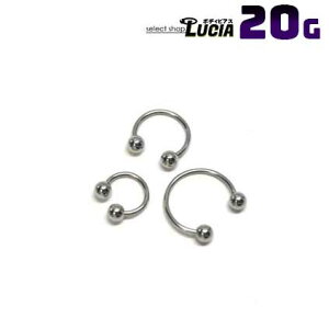 {P2{ 20G  ׂ sAX {fBsAX T[L[o[x  Vv AM[Ή 316L i XeX t@[XgsAX ςȂ sAX