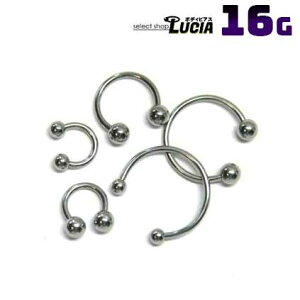 {P2{ 16G  sAX {fBsAX T[L[o[x  Vv AM[Ή 316L i XeX t@[XgsAX ςȂ sAX