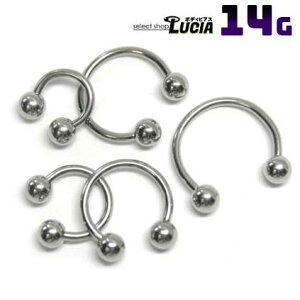 {P2{ 14G  sAX {fBsAX T[L[o[x  Vv AM[Ή 316L i XeX t@[XgsAX ςȂ sAX