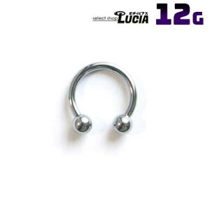 {P2{ 12G sAX {fBsAX T[L[o[x  Vv AM[Ή 316L i XeX g ςȂ