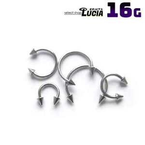 {P2{ 16G  sAX {fBsAX T[L[o[x R[ Vv AM[Ή 316L i XeX t@[XgsAX ςȂ sAX