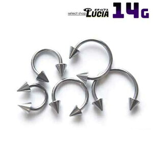 {P2{ 14G  sAX {fBsAX T[L[o[x R[ Vv AM[Ή 316L i XeX t@[XgsAX ςȂ sAX