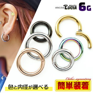 {P2{  ȒP 6G J[ {fBsAX t[v sAX NbJ[ZOg O AM[Ή ÃXeX 316L ςȂ g
