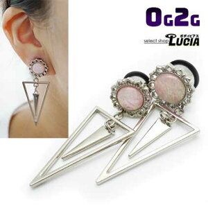 {P2{ 2G 0G sAX {fBsAX VOtA ACbg h Op`̃`[ t[ OO  傫 AM[Ή 316L i XeX