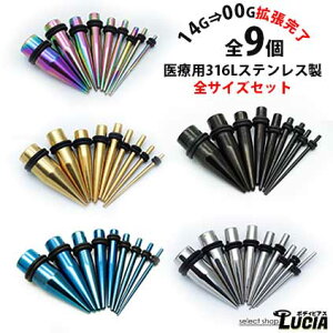 {P2{ i {fBsAX sAX g STCY Zbg 316L XeX J[ e[p[ GLXp_[ AM[Ή