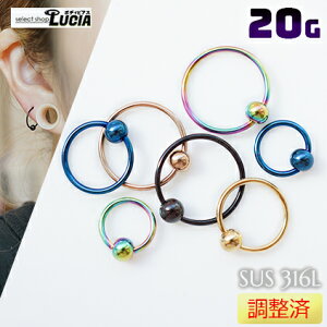 {P2{  20G ׂ sAX t[v {fBsAX LveBur[YO S[h ubN CBR J[ AM[Ή 316L i XeX sAX