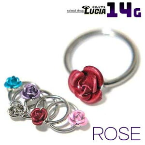 {P2{  14G sAX {fBsAX LveBur[YO ^[Y CBR AM[Ή 316L i XeX