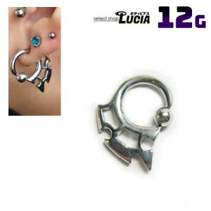 {P2{  12G sAX {fBsAX lIVFCvgCo ό`LveBur[YO CBR AM[Ή 316L i XeX  Y 