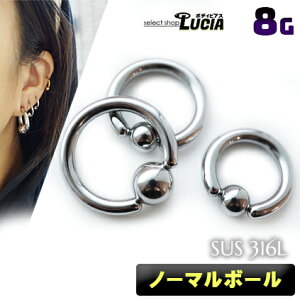 {P2{ 8G {fBsAX O sAX LveBur[YO  Vv CBR t[v ςȂ  AM[Ή 316L i XeX 316L Vo[