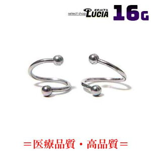 {P2{ 16G sAX {fBsAX XpCo[x  Vv cCXg sAX  AM[Ή 316L i XeX ςȂ