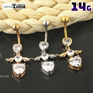 {P2{ 14G sAX {fBsAX ւsAX GWF n[g h  AM[Ή 316L XeX