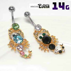 {P2{ 14G sAX {fBsAX ւsAX WGT\ AM[Ή 316L i XeX LL