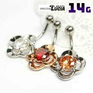 oׁIN[|I 14G sAX {fBsAX ւsAX ACAt[WG AM[Ή 316L i XeX LL