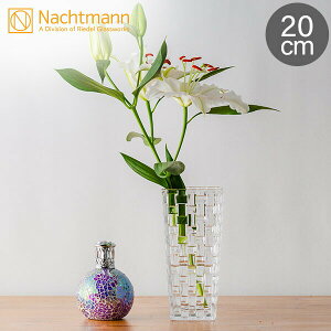 Nachtmann ing} Dancing Stars Bossa Nova _VOX^[ {Tmo 82088 x[X iԕrj 20cm y