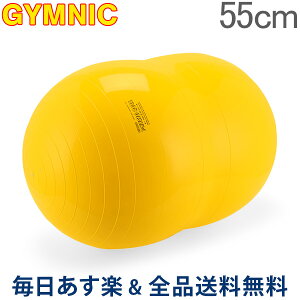 バランスボール 55cm ギムニクの人気商品 通販 価格比較 価格 Com