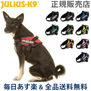 小型犬 中型犬 犬用首輪の人気商品 通販 価格比較 価格 Com