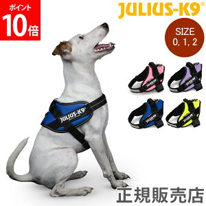 ユリウスケーナイン Julius-K9 IDC パワーハーネス 中型犬 大型犬 Size 0 / 1 / 2 胸囲58〜96cm 犬用 ハーネス 犬 散歩 Powerharness