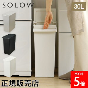 �_GW���x�܂��z���^ [�S�i��������] �\���E SOLOW �I���Ŏg���� �X�����_�X�g�{�b�N�X ���o�[�I�[�v�� 30L �S�~�� ������� �X���� ���ݔ� �J�b�v�{�[�h�� �I�� �J�E���^�[�� �L�b�`�� ���� ��