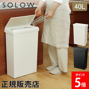�_GW���x�܂��z���^ [�S�i��������] �\���E SOLOW �ʘH�Ŏg���� ���C�h�_�X�g�{�b�N�X �n���h�I�[�v�� 40L ���C�h�^�C�v �t�N�����N �܊y �S�~�� 45L�S�~�ܑΉ� ������� ���ݔ� �ӂ��t�� ���� 