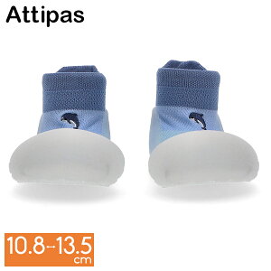 [Si] AeBpX Attipas xr[V[Y htB Dolphin t@[XgV[Y g[jOV[Y V[Y Ԃ C xr[ ̎q j̎q CJ A24DO