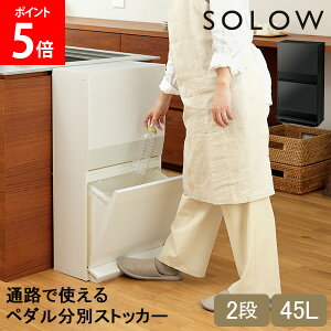 [Si] \E SOLOW S~ ݔ h[[ ʘHŎgy_ʃXgbJ[ 2i 45L y_t GSLW020 GSLW021 zCg ubN X p^ R h  Lb` r
