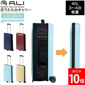 AWAQ[W A.L.I Locobox R{bNX ܂肽݃L[ @ 40L X[cP[X L[P[X 3 4 y e hNz_[ g@\ Ԏ[ LC-5725-18 ܂ L