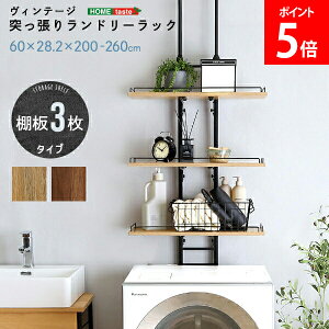 [Si] z[eCXg HOME taste Be[W 8.9kg ˂胉h[bN re[W @bN ؖڒ [ ȃXy[X X PPLR--SBO PPLR--WAL @ I