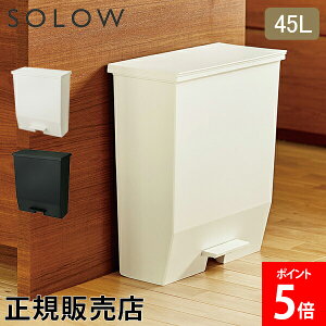 [Si] \E SOLOW S~ ݔ _Xg{bNX 45L y_I[vCh GSLW009/010 y_t LX^[t X p^ Lb`