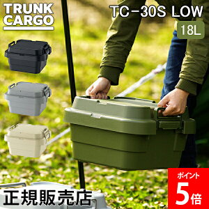 [Si] gNJ[S RISU [{bNX [P[X X^bLO^Cv [^Cv AEghA TC-30S LOW 18L Rei{bNX Lv X