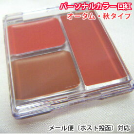 楽天市場 リップ パレットの通販 楽天市場 リップ パレットの通販