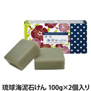 琉球海泥石けん 100g×2個入り(洗顔料/クレイ石けん/クレイソープ/石/スキンケア)