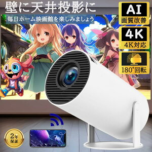 �v���W�F�N�^�[ ���^ �ƒ�p �V�䓊�e �X�}�z�ƌq���� Android TV���ځE�����Q�[�� 11.0 12000LM 2.4/5G Wi-Fi�Ή� �v���W�F�N�^�[ Bluetooth 5.2 4K�r�f�I�ɓK������ HDMI�P�[�u���E�����R���t�� ��l���