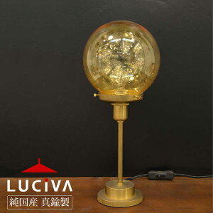 YC_XgACg ^Jne[uX^h Ao[FKX SSS207A