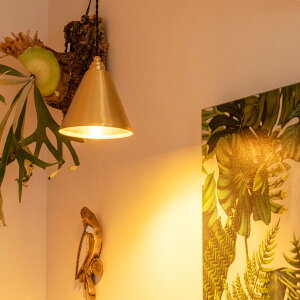 �y���_���g���C�g ���A�� �y���_���g �����v�ʔ� TC-1004RE