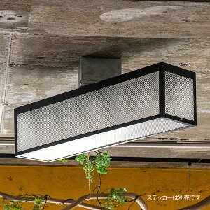 �V�[�����O���C�g �W�F�l�b�^ 6�� �V�[�����O TC-1054-CL