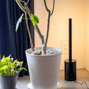 LEDo[Cg V[g}NX cux[XZbg TC-2014F ԐڏƖ @\RROOM SWITCHt