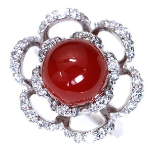 {Y ԐF TS X O/w v`i PT900 ێ̔TS/(bh)/ZNVWG[EVi/10/Mtg/1_