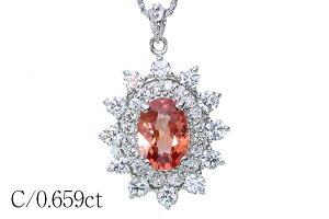 yP2{ő15OFFN[|ΏہIzpp`Tt@C lbNX 0.5ctUP v`i PT900/PT850 ؃_C芪 H ▭ȍ 4{@ӕʏt /(IW)/ZNguhEV